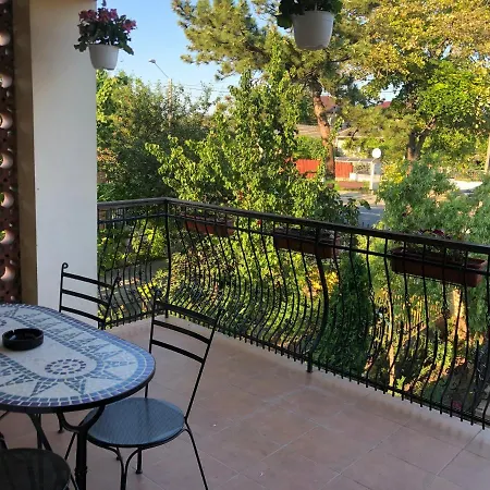 Vila David Guest house *
