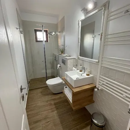 Guest house Vila David