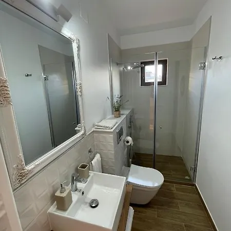 Guest house Vila David *