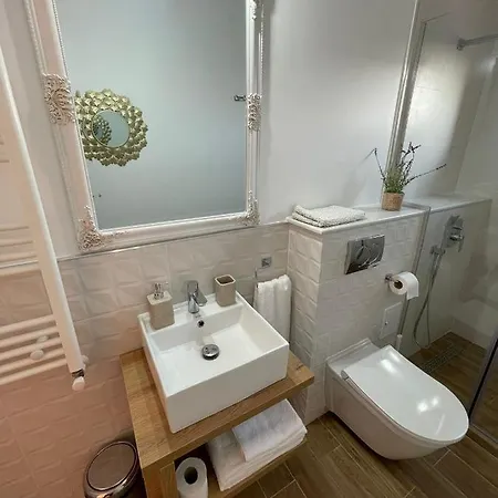 Vila David Guest house *