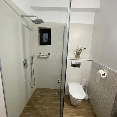 Guest house Vila David