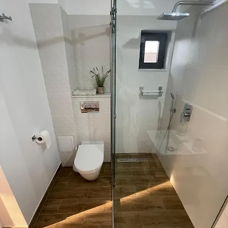 Vila David Guest house