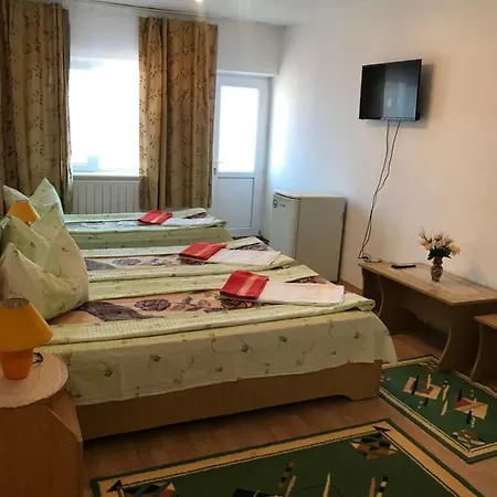 Pensionat Vila David *