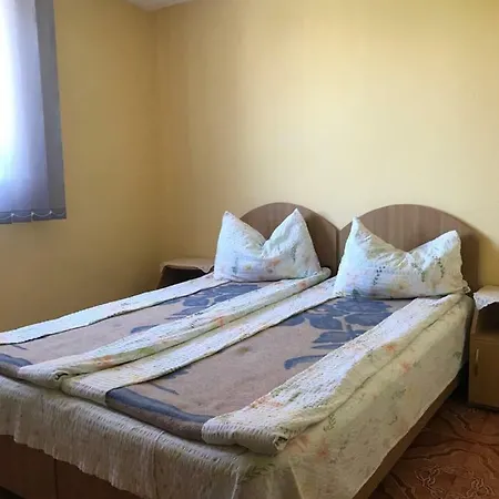 Vila David Pensionat