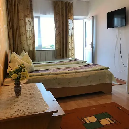Vila David Pensionat *