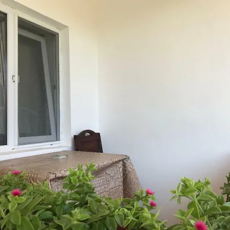 Vila David Pensionat