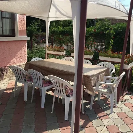 Vila David Pensionat *