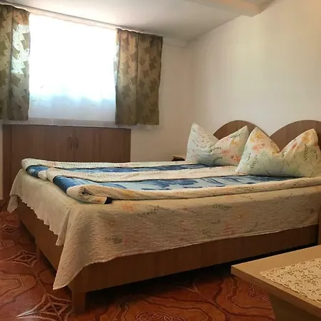 Vila David Pensionat *