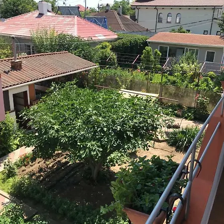 Vila David * Eforie Sud (Constanta)