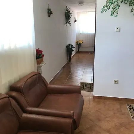 Pensionat Vila David *
